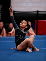 KiSh Vault Bars