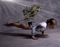Gymnastics of York